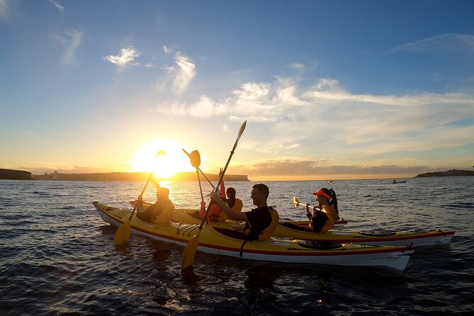 Beautiful Middle Harbour Sunriser / Guided Kayaking Private Tour - Additional Information