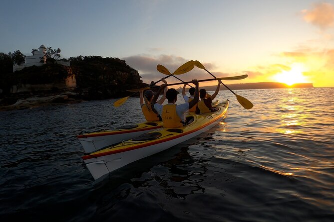 Beautiful Middle Harbour Sunriser / Guided Kayaking Private Tour - Itinerary