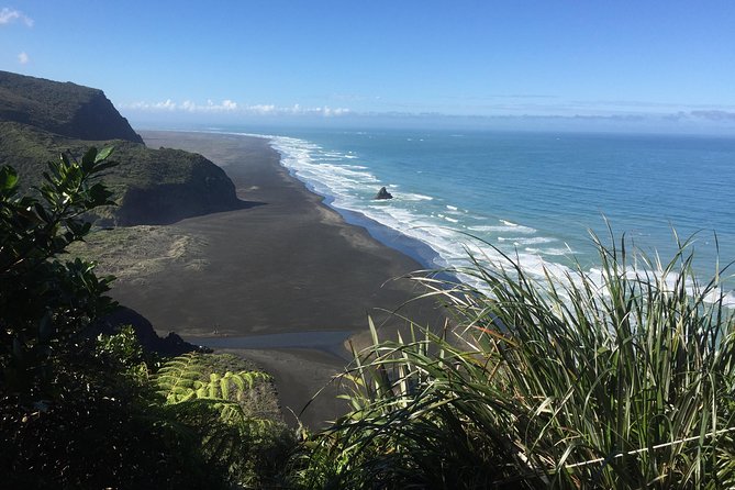 Beautiful Nature Tours Auckland - Private Tour - Meeting and Pickup