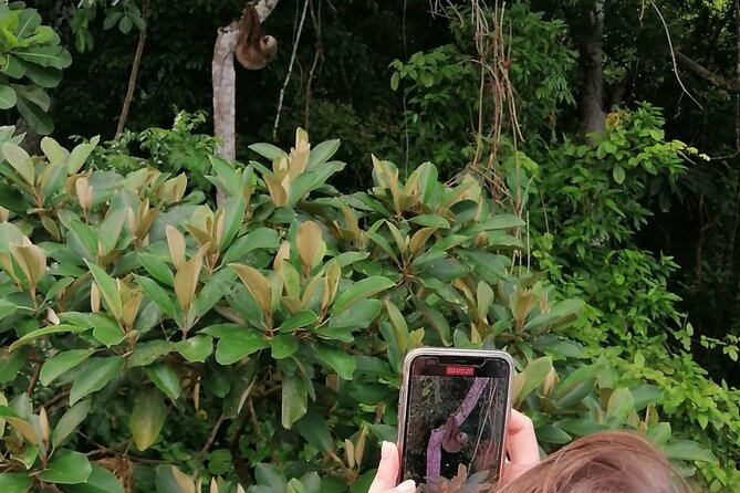 Beautiful Panama Canal Lake Nature Sightseeing - Key Points