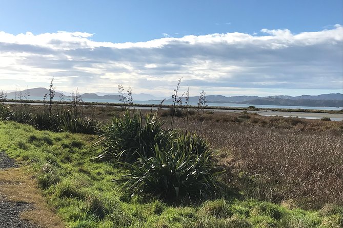Beautiful Pohutukawa Coast - Half Day Private Tour - Reviews