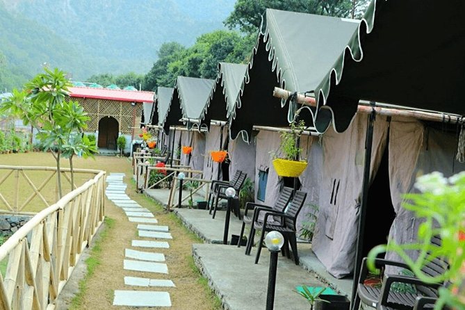 Beautiful Swiss Camping Experience in Rishikesh With Rafting - Key Points
