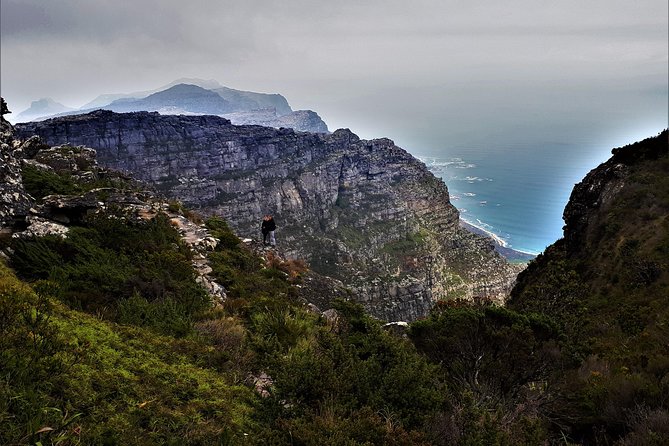 Beautiful Table Mountain Hike - Knowledgeable and Friendly Guides