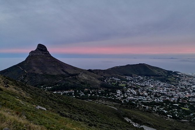 Beautiful Table Mountain Hike - Exploring Flora, Fauna, and History