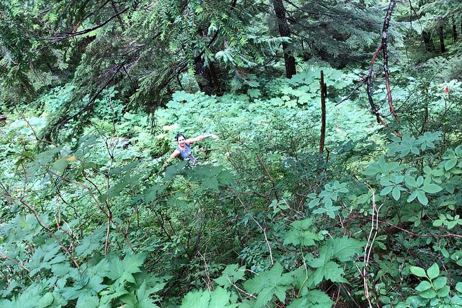 Beautiful Totem Bight State Park and Rainforest Walking Tour - Meeting and End Point