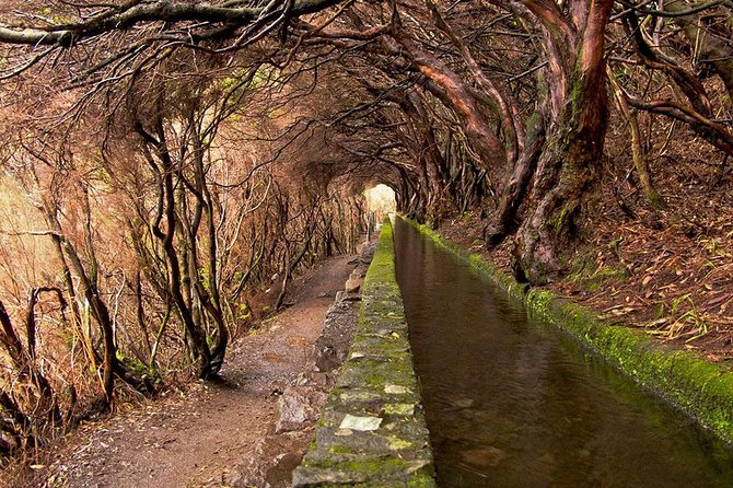 Beautiful Walks in Rabaçal, Madeira - Key Points