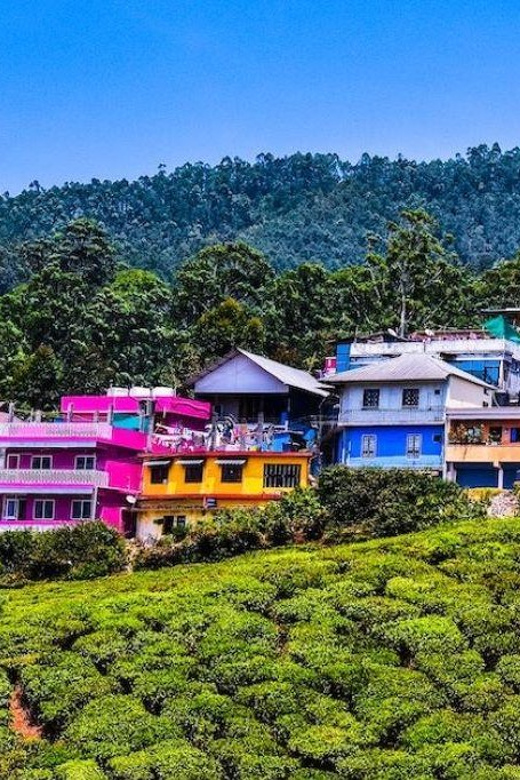 Beauty of Nature, Munnar Hill Station Tour (03 Days) - Itinerary Highlights