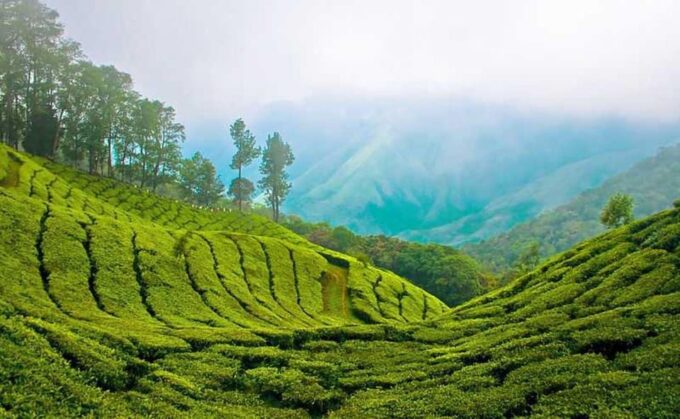 Beauty of Nature, Munnar Hill Station Tour (03 Days) - Booking Flexibility
