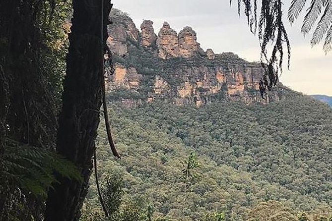 Beauty of the Blue Mountains Private Tour - Visiting Three Sisters