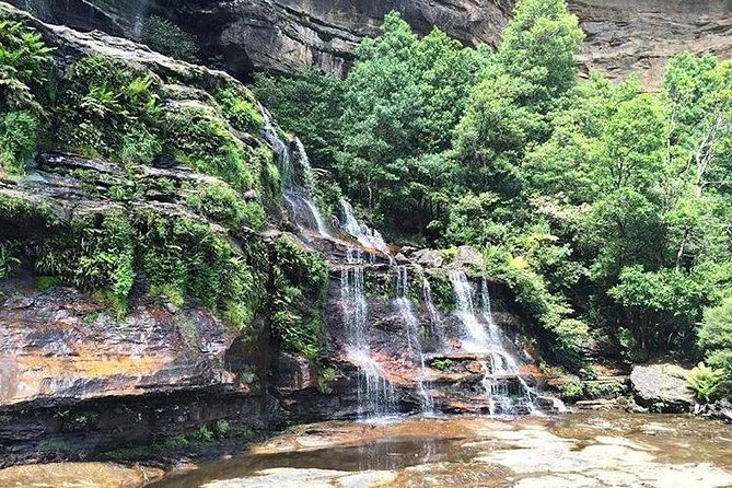 Beauty of the Blue Mountains Private Tour - Optional Add-Ons
