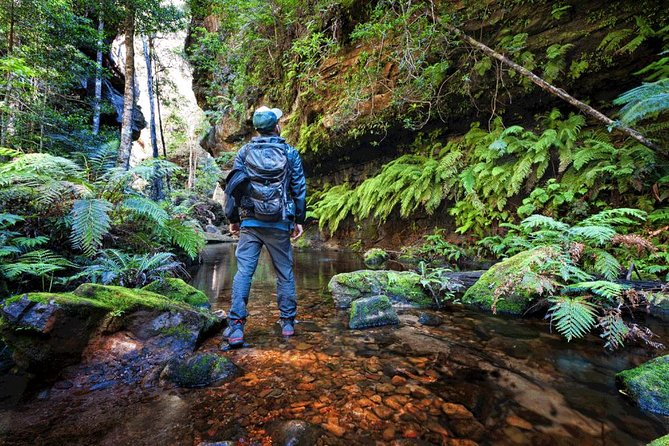 Beauty of the Blue Mountains Private Tour - Booking and Cancellation Policy