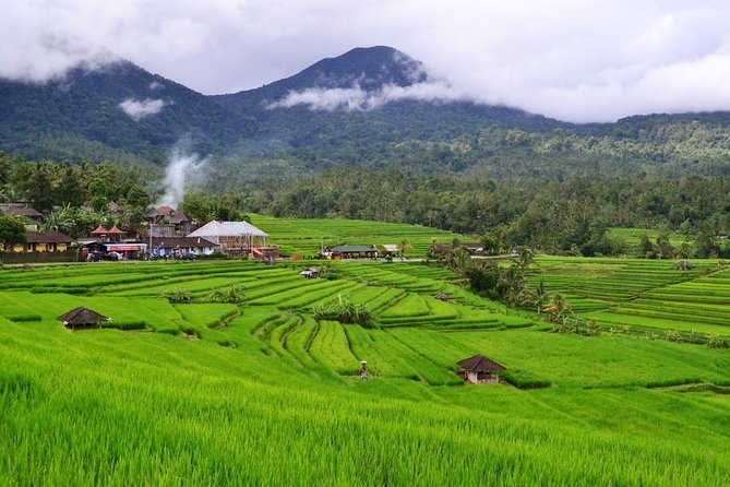 Beauty Of West Bali Tour (Private and All Inclusive) - Tour Experience and Guide