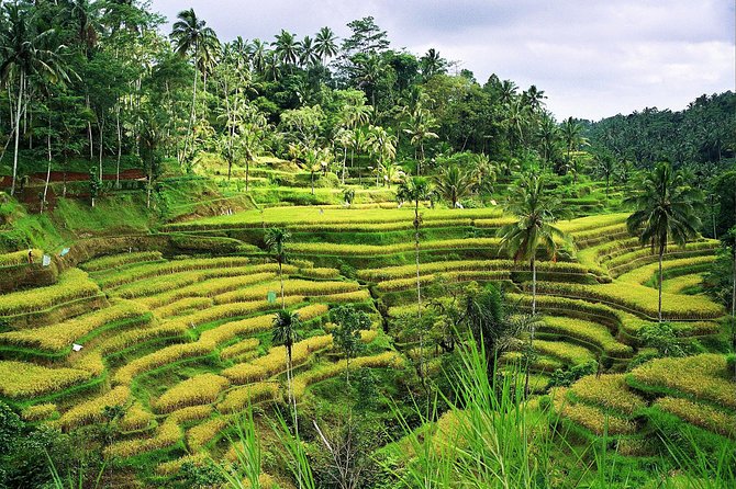 Beauty Of West Bali Tour (Private and All Inclusive) - Cancellation and Booking Policy