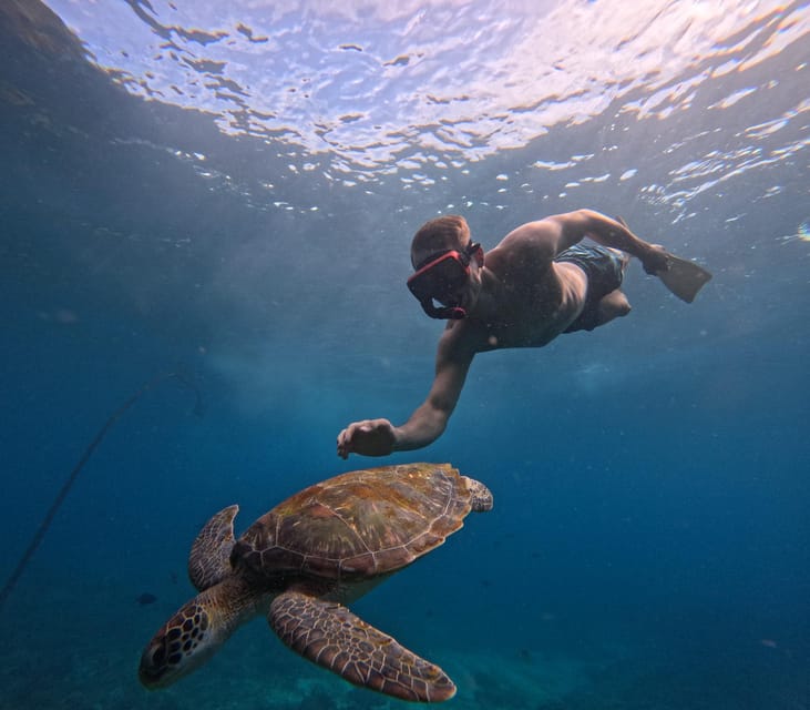 Beauty of West Nusa Penida With Snorkeling-All Inclusive. - Key Points