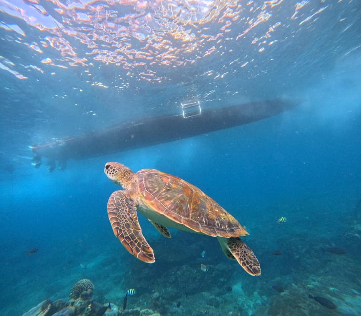 Beauty of West Nusa Penida With Snorkeling-All Inclusive. - Itinerary Highlights