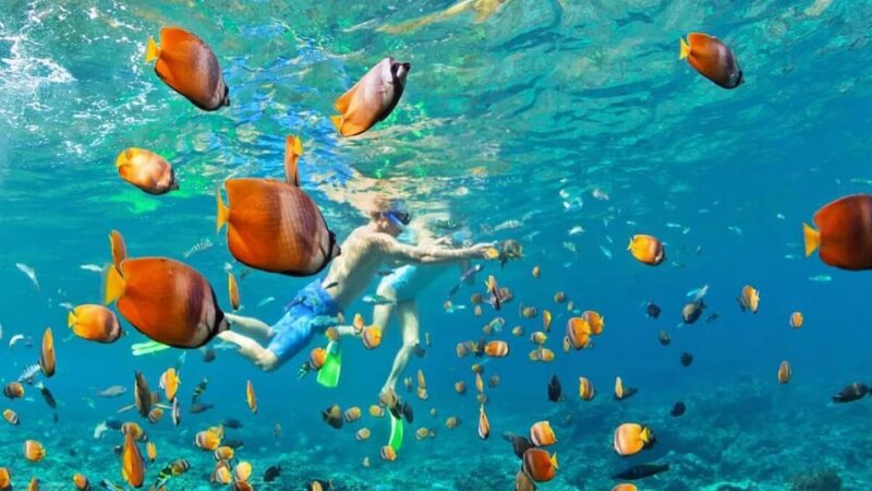 Beauty of West Nusa Penida With Snorkeling-All Inclusive. - Snorkeling Spots