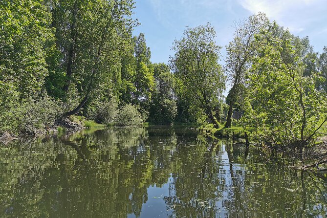 Beaver Safari on Stand up Paddleboard in Hokksund - Booking and Pricing Information
