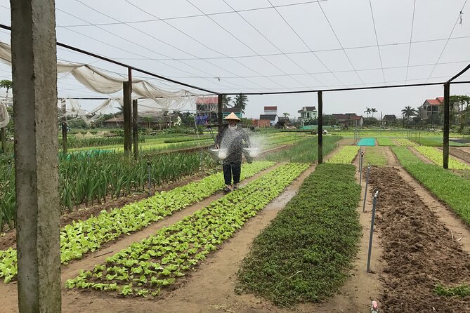 Become a Farmer at Tra Que Vegetable Village Included Cooking Class and Foot Massage - Delicious Lunch