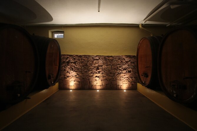 Become a Winemaker for a Day! - Grape Varietals of Alsace