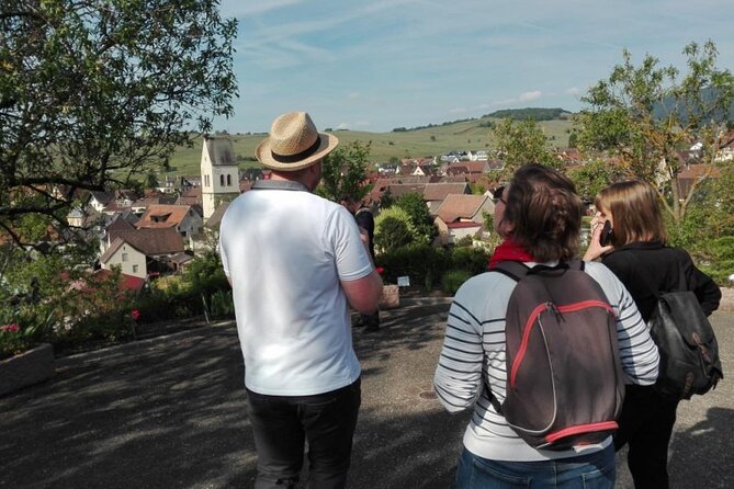 Become a Winemaker for a Day! - Winemaking Process Walkthrough