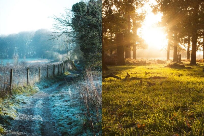 Bedfordshire: Puzzle Treasure Hunt to a Pub + Team Racing! - Booking and Logistics