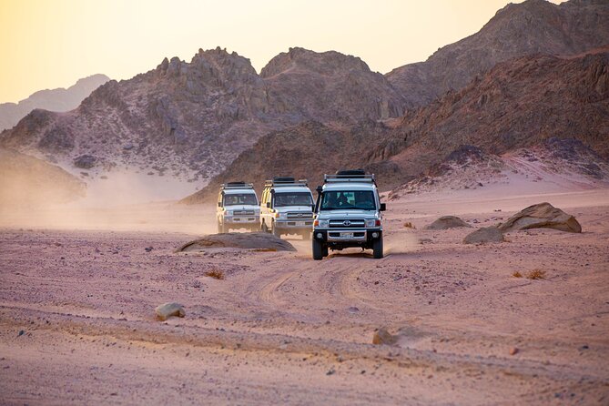 Bedouin Village Jeep Safari With Dinner & Camel Ride in Hurghada - Key Points