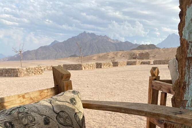 Bedouin Village Sunset Safari - Safety and Physical Requirements