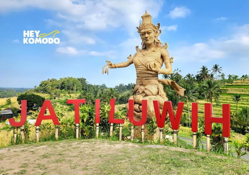 Bedugul Bali Private Tour UNESCO Sites Inc Meal & Ticket - Important Information