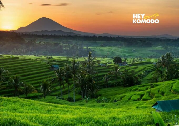 Bedugul Bali Private Tour UNESCO Sites Inc Meal & Ticket - Duration and Price
