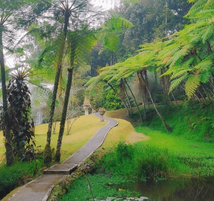 Bedugul : Full Day Tour - Highlights of the Tour