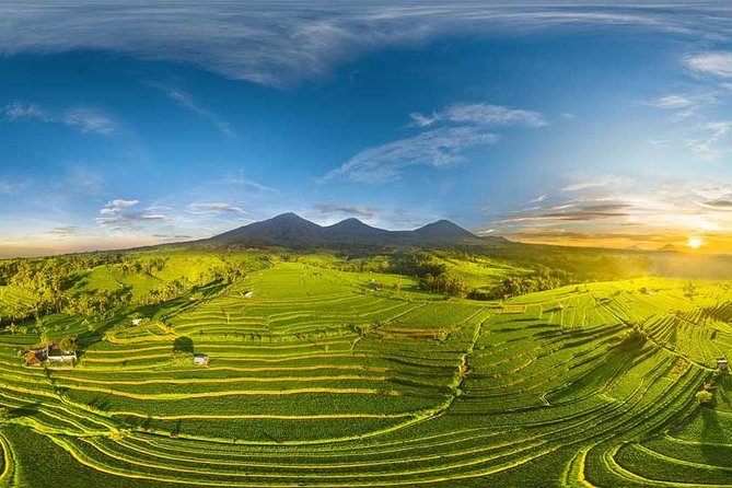 Bedugul Tour With Hotel Transfer & Entrance Ticket - Tour Highlights