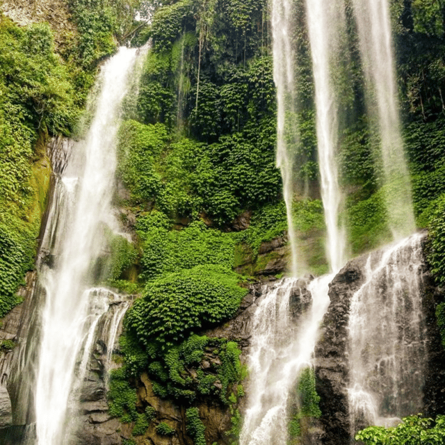 Bedugul: Waterfall Full Day Tour Package - Key Points