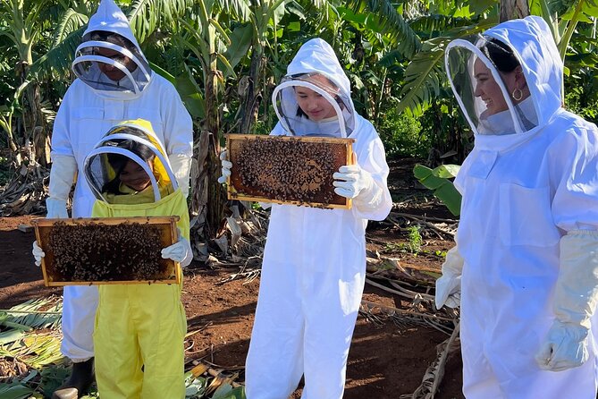 Bee Farm Ecotour and Honey Tasting in Waialua, North Shore Oahu - Accessibility and Suitability