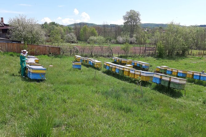Beekeeping Day Trip| Private Guided Tour From Bucharest - Discover the Life of Honeybees
