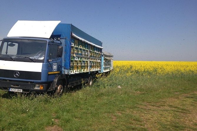 Beekeeping Day Trip| Private Guided Tour From Bucharest - Flexible Pickup and Departure Times