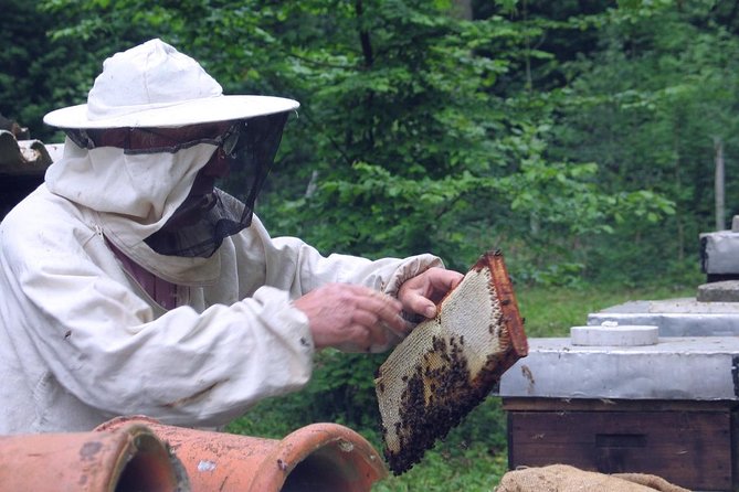 Beekeeping Day Trip| Private Guided Tour From Bucharest - Private Tour Tailored to Your Needs