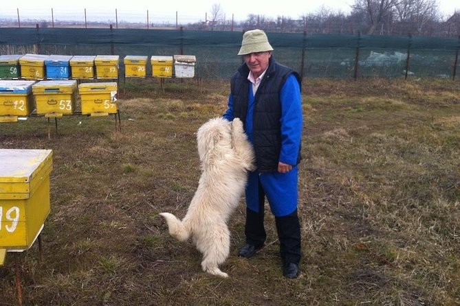Beekeeping Day Trip| Private Guided Tour From Bucharest - Health and Safety Considerations