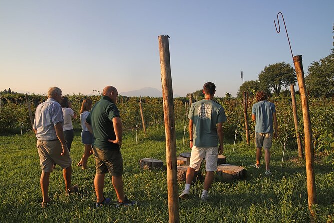 Beekeeping Farm Tour and Tasting Experience in Lazise - Tasting Menu Details