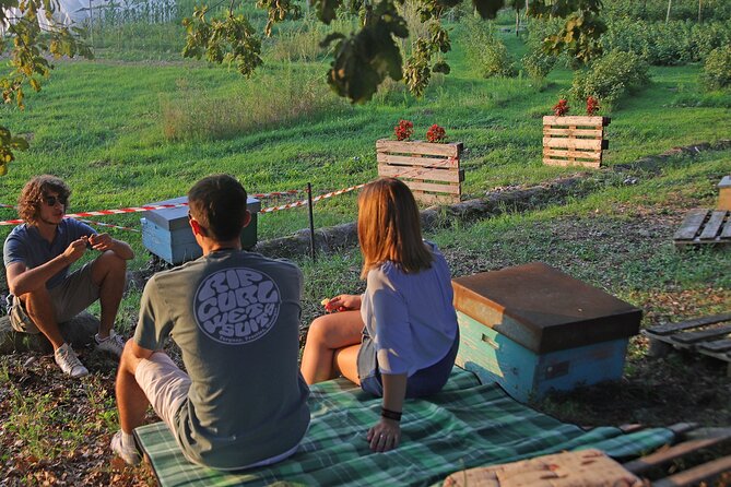 Beekeeping Farm Tour and Tasting Experience in Lazise - Meeting Point Information