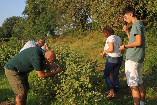 Beekeeping Farm Tour and Tasting Experience in Lazise - Accessibility Features