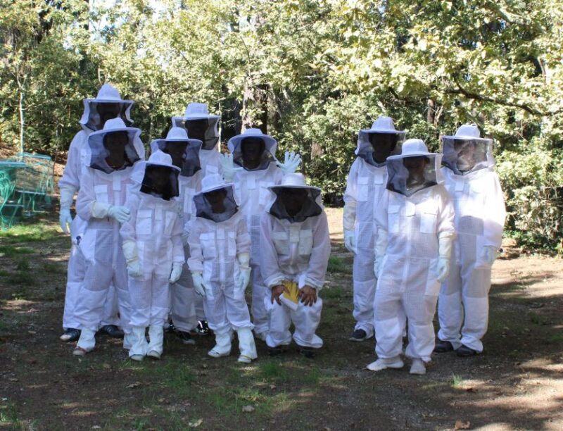 Beekeeping Tour in Amarante With Honey Tasting - Experience Highlights
