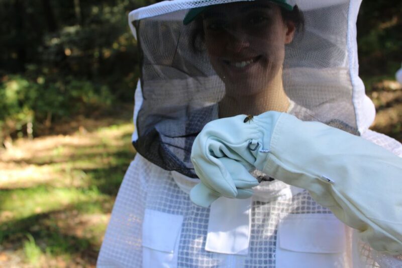 Beekeeping Tour in Amarante With Honey Tasting - Itinerary