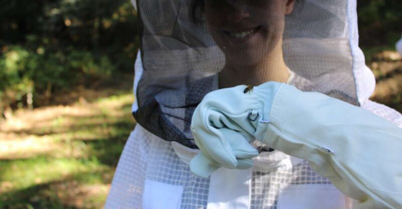 Beekeeping Tour in Amarante With Honey Tasting - Cancellation and Refund Policy