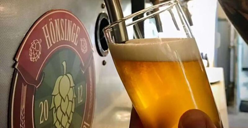 Beer Tasting, Lecture and Brewery Tour - Experience Description