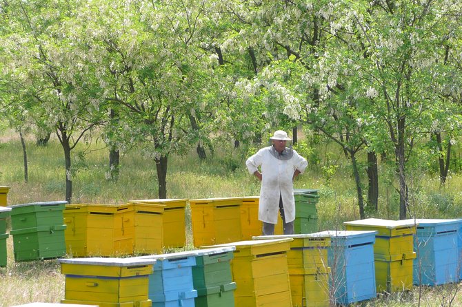 Bees Adventure in Romania - Private Day Trip From Bucharest - Key Points