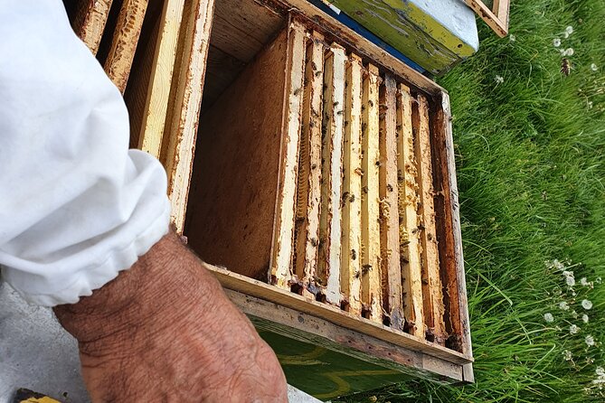 Bees Adventure in Romania - Private Day Trip From Bucharest - Discovering Honey Harvesting Techniques