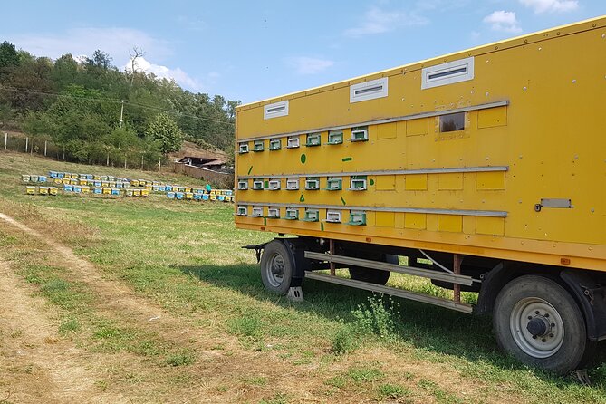 Bees Adventure in Romania - Private Day Trip From Bucharest - Interacting With Passionate Bee Enthusiasts