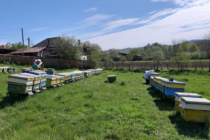 Bees Adventure in Romania - Private Day Trip From Bucharest - Preparing for Your Buzzing Adventure