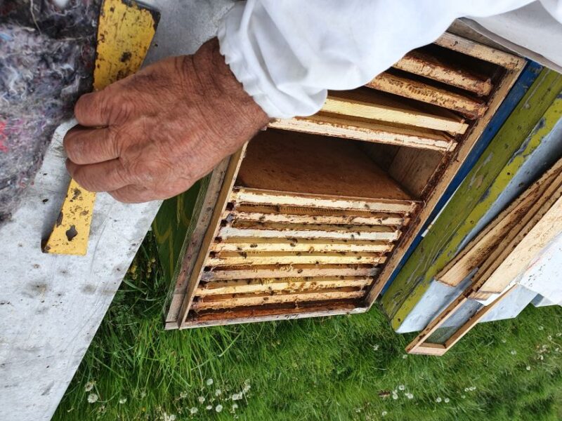 Bees in Romania - Private Beekeeping Lesson and Local Lunch - Inclusivity and Accessibility