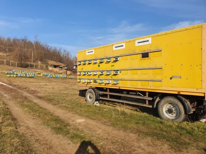 Bees in Romania - Private Beekeeping Lesson and Local Lunch - Frequently Asked Questions